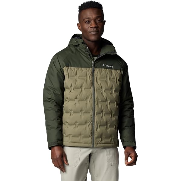 Amazon.com: Columbia Men's Delta Ridge II Down Hooded Jacket